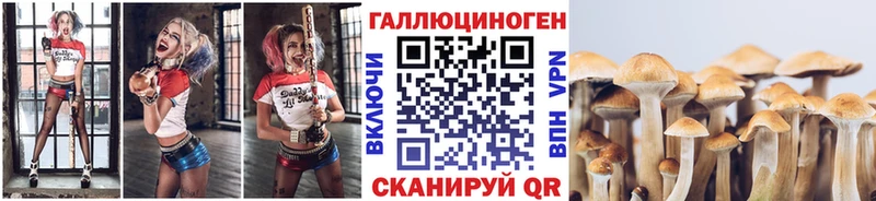 Купить где  Печоры  Псилоцибиновые грибы Magic Shrooms 